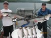 (06/08/2015) - Nice Striped Bass